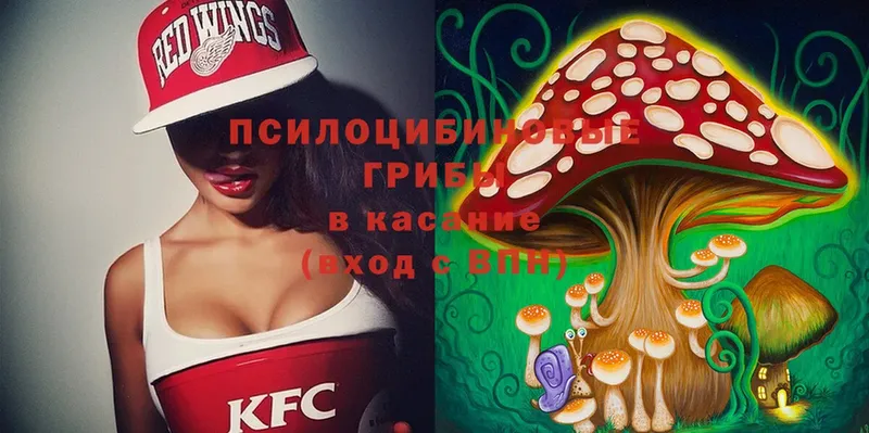 купить   Донской  blacksprut зеркало  Галлюциногенные грибы Magic Shrooms 